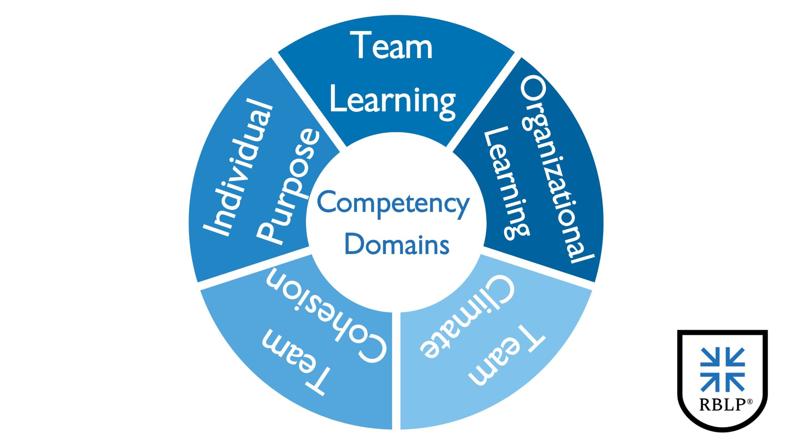 Five interconnected RBLP competency domains, each representing a set of leader tasks developed through job task analysis.